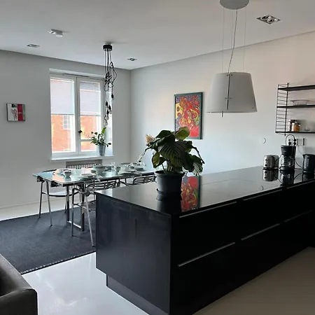 Luxurious 85m2 Hakaniemi, Center, Next To Metro Apartmán Helsinky